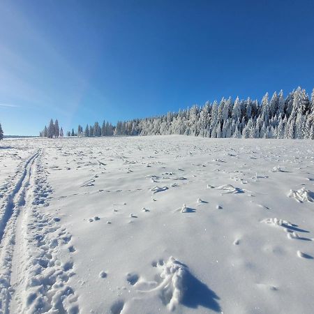Apartman Spa Sumava Zdíkov Exteriör bild