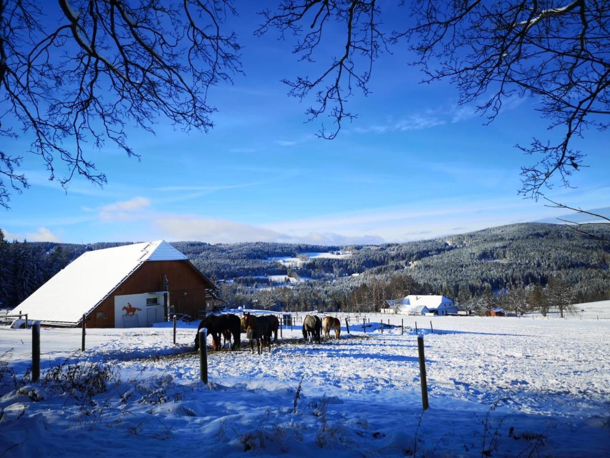 Apartman Spa Sumava Zdíkov Exteriör bild