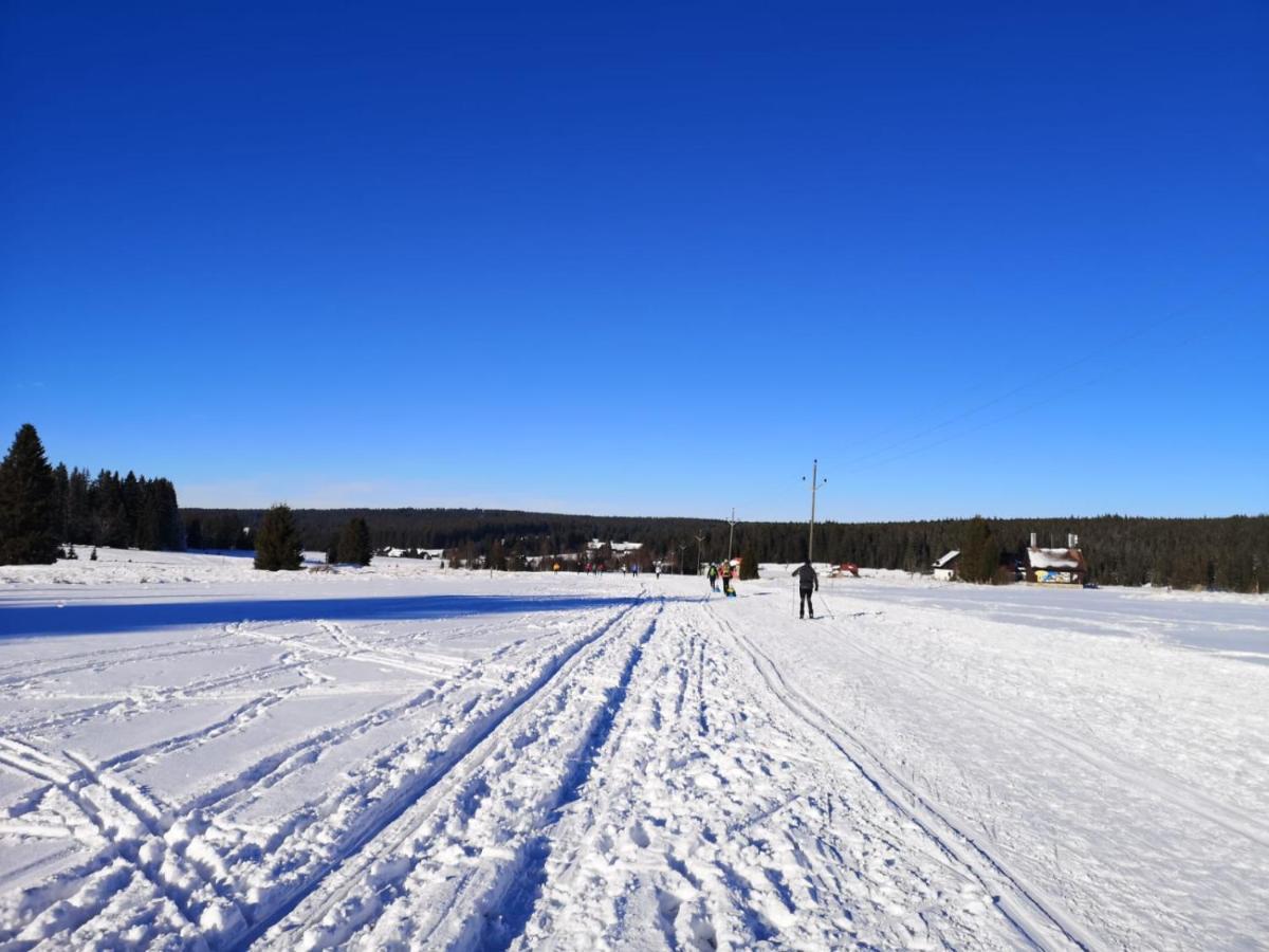 Apartman Spa Sumava Zdíkov Exteriör bild