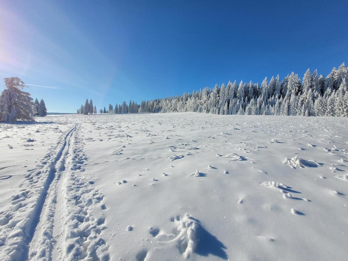 Apartman Spa Sumava Zdíkov Exteriör bild