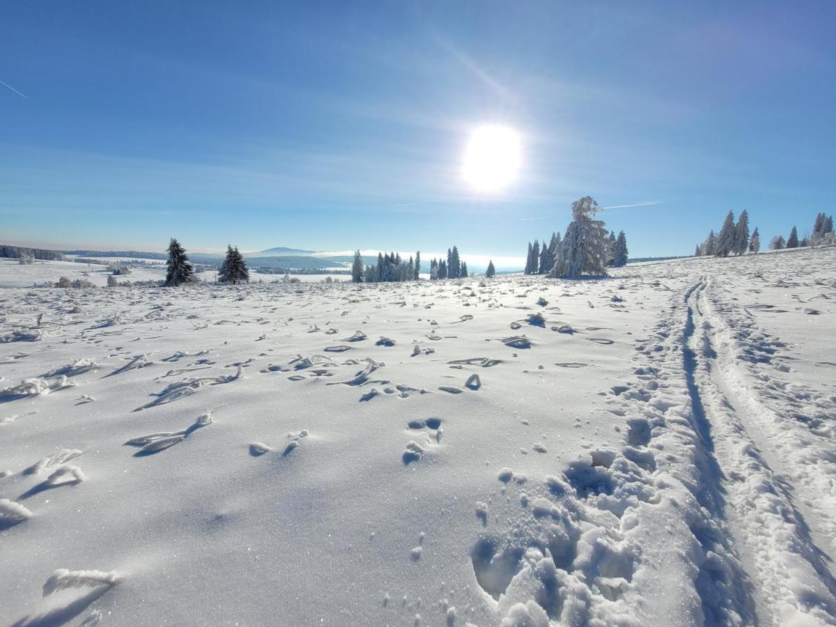 Apartman Spa Sumava Zdíkov Exteriör bild